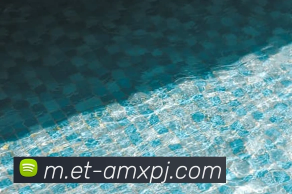 新葡京娱乐APP 封面图